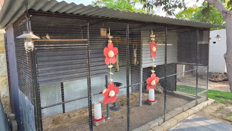 We build Chicken and Bird Cages