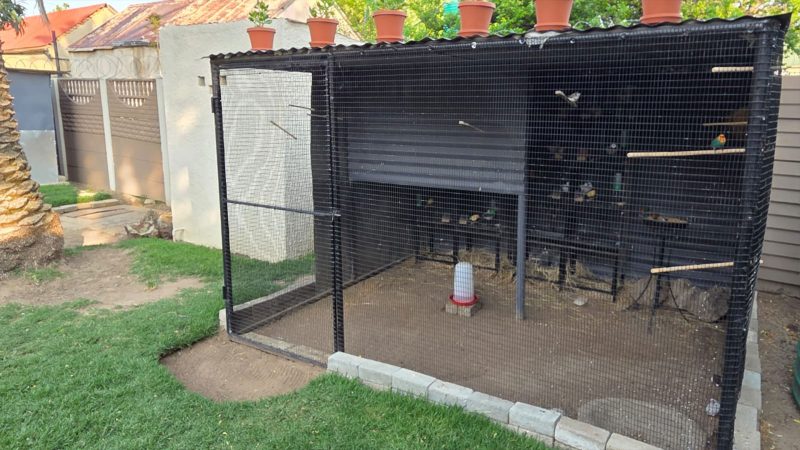We build Chicken and Bird Cages