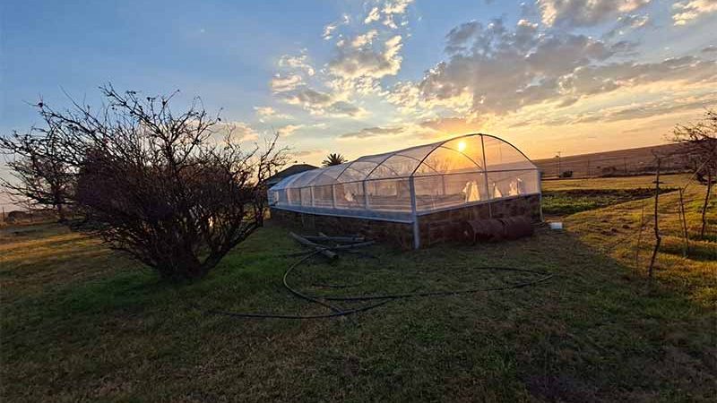 greenhouse
