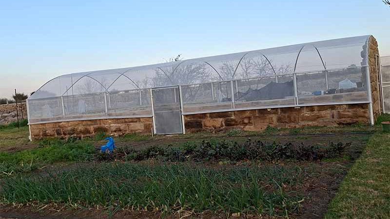 greenhouse1
