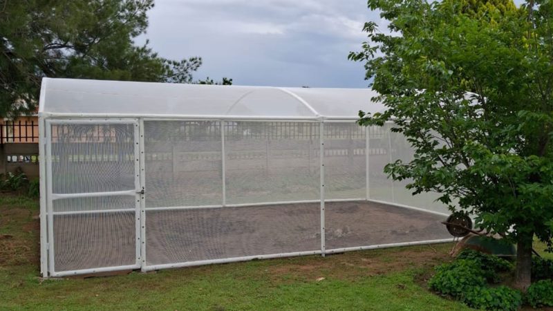 new-green-house-2