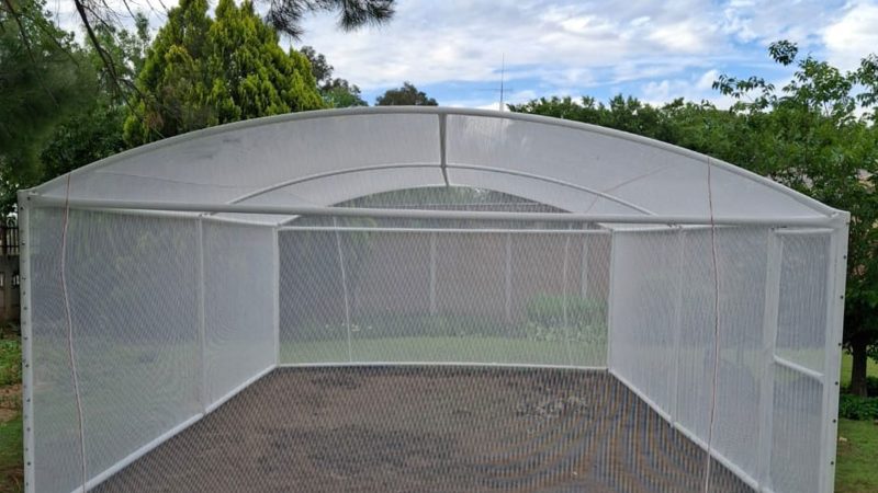 new-green-house-3